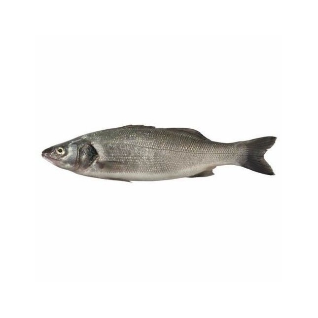 Seabass Whole Clean Approx 600g