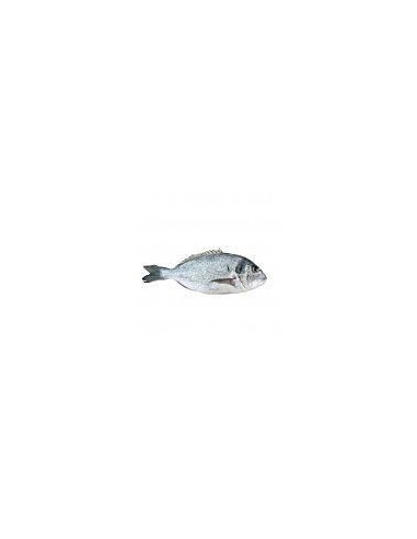 Dorada (Seabream) Whole Clean 600g (farmed)