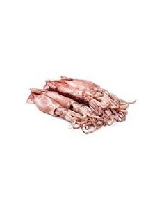 Fresh Cleaned Squid Small 1kg 8 Units