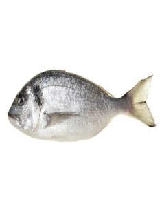 Dorada Whole Cleaned 2.5 - 3kg (wild)