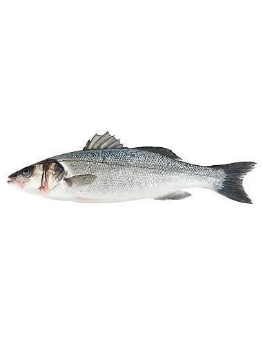 Seabass Whole Cleaned approx 1kg (wild)