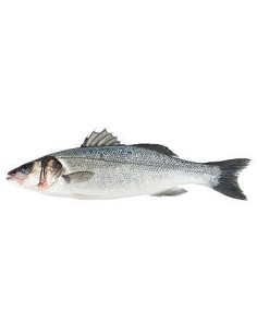 Seabass Whole Clean approx 2-3kg (wild)