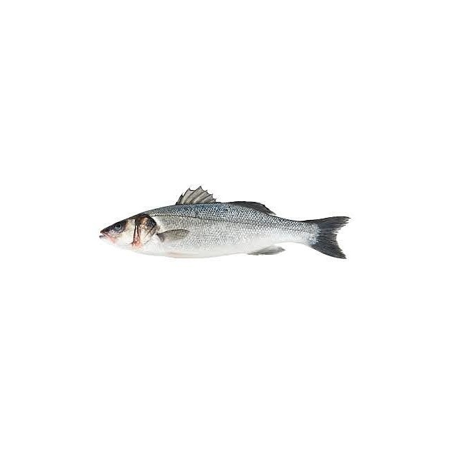 Seabass Whole Clean approx 2-3kg (wild)