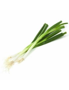 Japanese Spring Onion Bunch