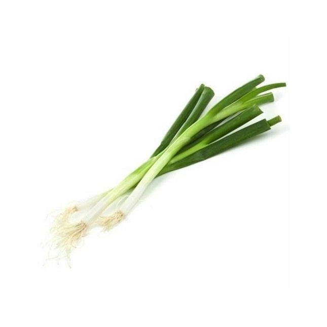Japanese Spring Onion Bunch