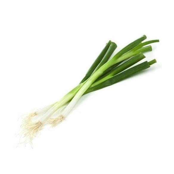 Japanese Spring Onion Bunch