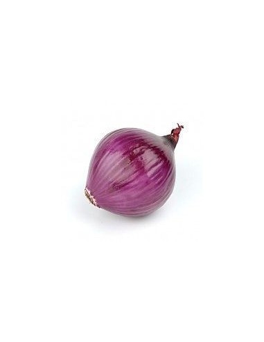 Organic Red Onions 1kg