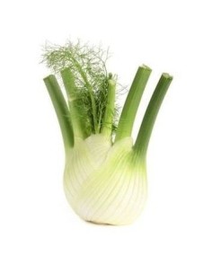 Fennel 350g Unit