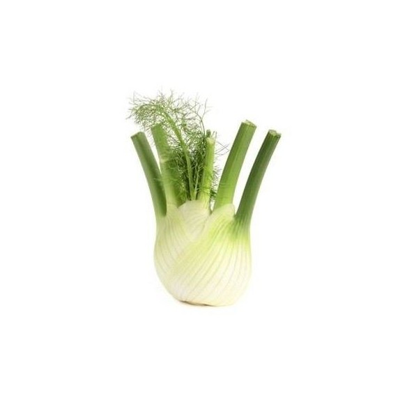 Fennel 350g Unit