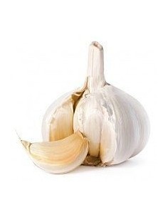 Organic Dried Garlic Units 4