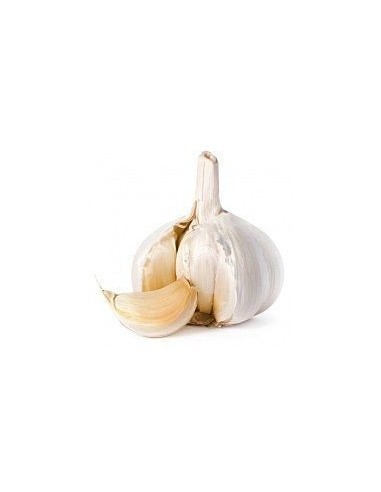 Organic Dried Garlic Units 4