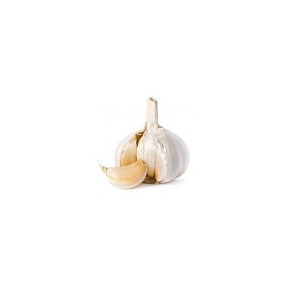 Organic Dried Garlic Units 4