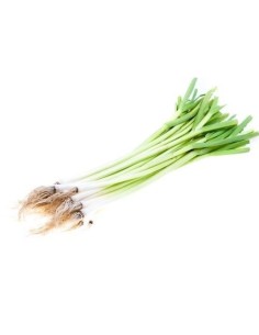 Tender Spring Garlic Bunch