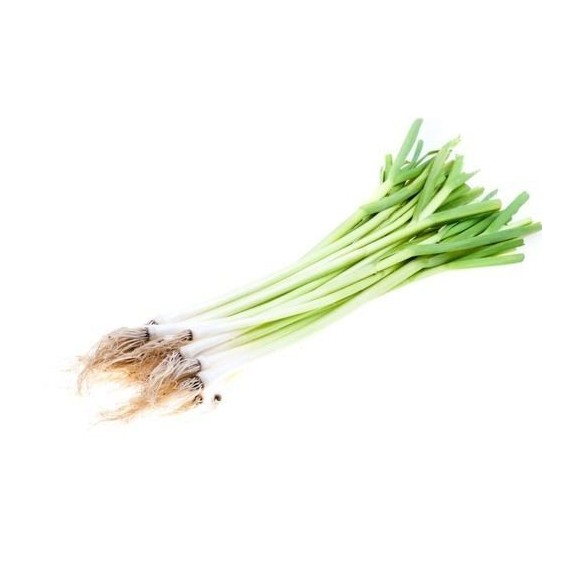 Tender Spring Garlic Bunch