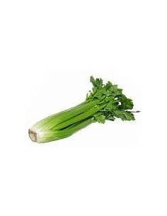 Celery with Shoots