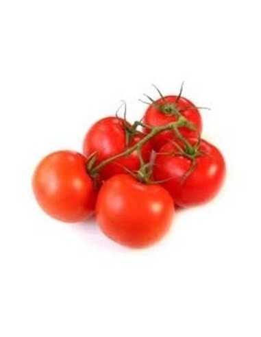 Vine Tomatoes 1kg