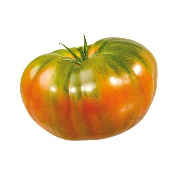 Tomatoes Raff 1kg
