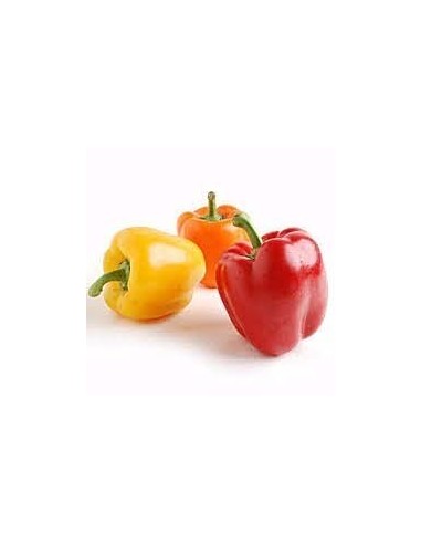Peppers Tri-Colour 1kg