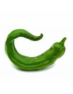 Italian Green Peppers 1kg