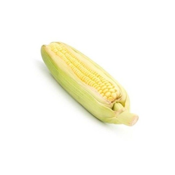 Sweetcorn Fresh 500g 2 Units