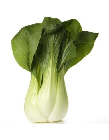 Bockchoy 1kg