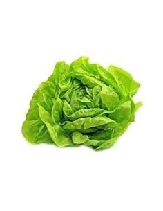 Lettuce Trocadero Unit