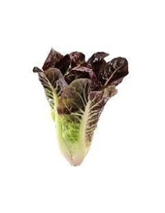 COS Lettuce Hearts Red Units 3