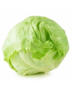 Iceberg Lettuce Unit