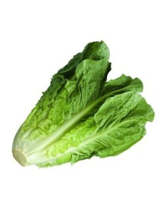 Romaine Lettuce Unit