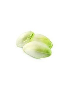 Endive Pack 3 Units