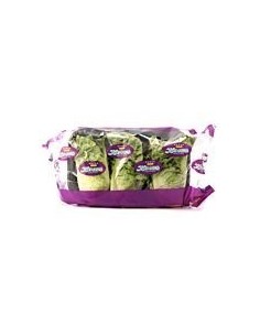 Gem Lettuce Pack 3 Units