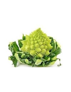 Romanesco Unit