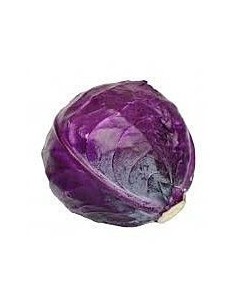 Cabbage Red 1.2kg Unit