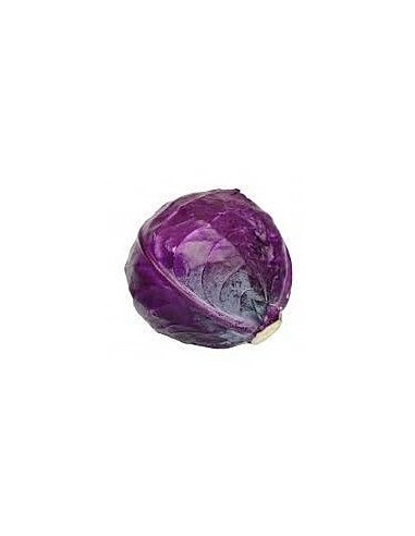 Cabbage Red 1.2kg Unit