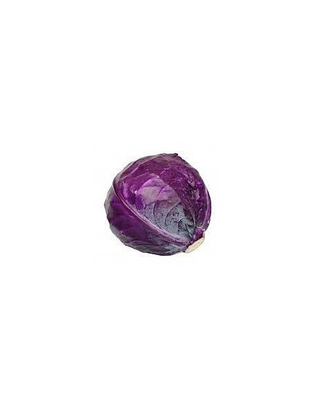 Cabbage Red 1.2kg Unit
