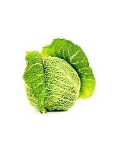 Savoy Cabbage Green 1.2Kg Unit