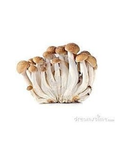 Mushrooms Shimiji Brown Punnet