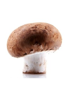 Mushrooms Portobello 500g