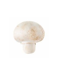 Mushroom Button 400g
