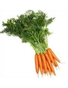 Carrots With Stems 1Kg