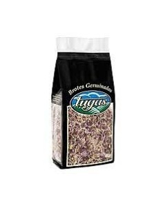 Sprouted Onion Shoots 200g