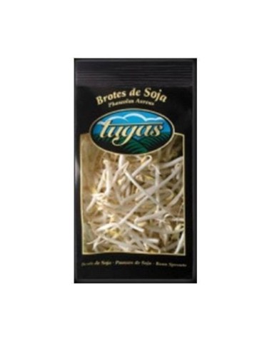 Soy Bean Shoots 100g