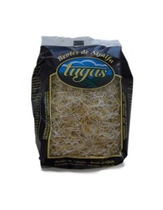 Alfalfa Shoots 100g
