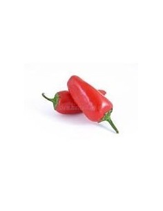 Mini Red Peppers Punnet 500g