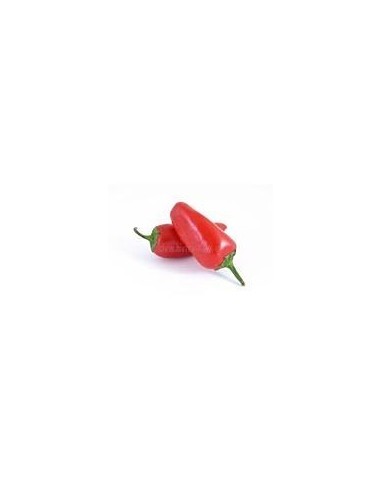 Mini Red Peppers Punnet 500g