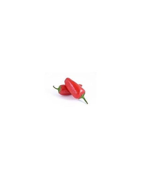 Mini Red Peppers Punnet 500g