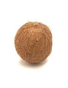 Coconut Unit