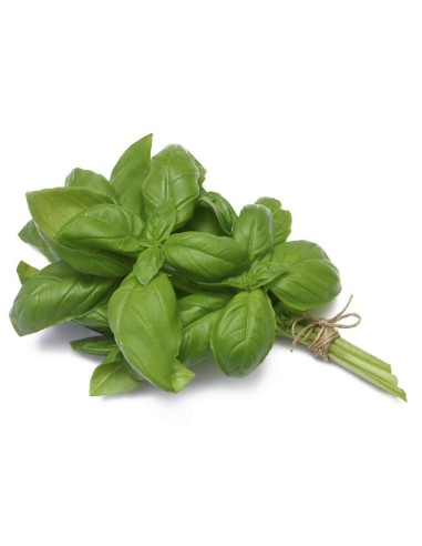 Basil Bunch aprox 100g
