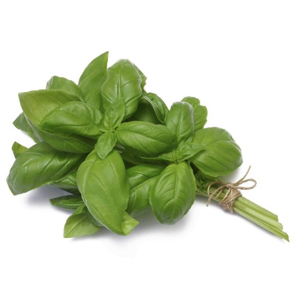 Basil Bunch aprox 100g
