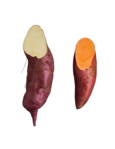 National White Sweet Potato 1kg